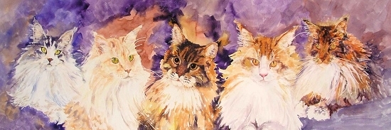 Five Maine Coon Cats