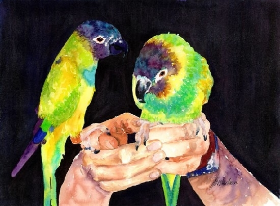 Parakeets in Hand